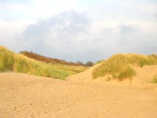 Fototapeta na wymiar Dunen an der Nordsee