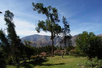 paysage vers machu picchu