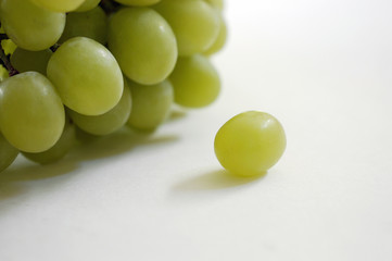 lone grape