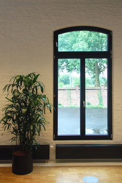fenster und yukka palme