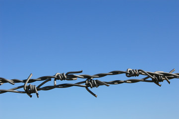 barbed wire