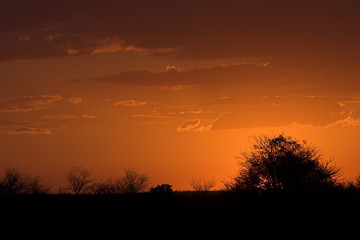 Fototapeta na wymiar horyzont słońca