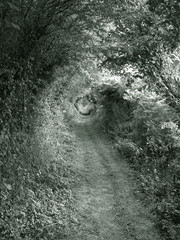0406-sentier 