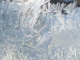 frozen window
