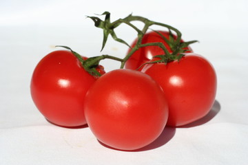 une branche de tomates