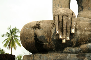 hand of buddha