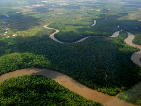 amazonia