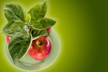 rich apple crop