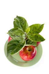 rich apple crop
