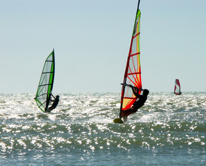windsurf paradise