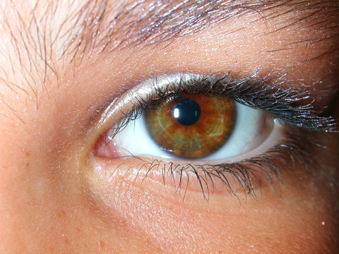 yeux marrons