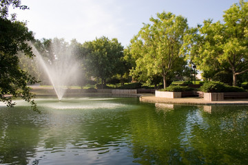 Obraz premium morning in the park