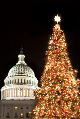 christmas in washington dc