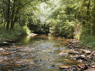mars hill creek