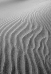 dunes in black&white