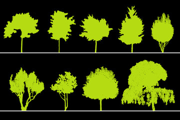 arbres pour coupes et élévations