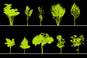 arbres pour coupes et élévations