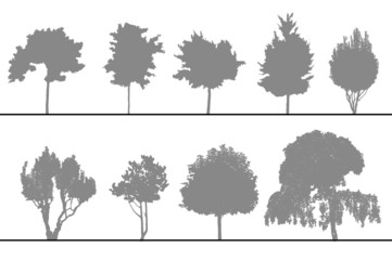 arbres pour coupes et élévations