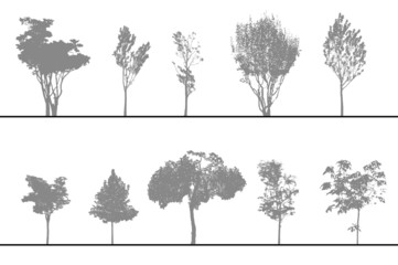 arbres pour coupes et élévations