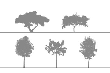 arbres pour coupes et élévations