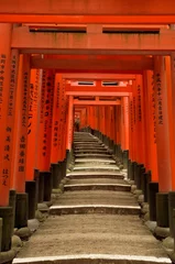 Gardinen Torii-Tore von Fushimi Inari-Schrein, Kyoto, Japan © Can Balcioglu