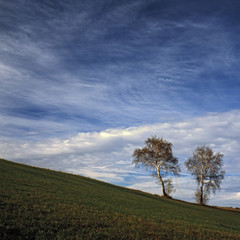 Obraz premium narava