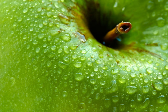 Wet Green Apple