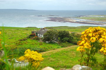paysage marin