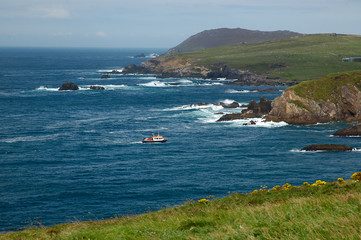 paysage marin