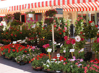 flower market