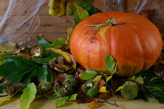 potiron et marrons
