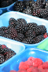 berries at farm market