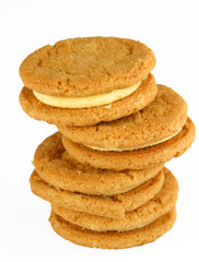 biscuit snack