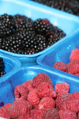 berries at farm market