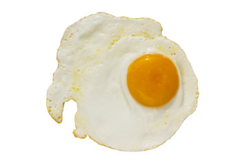 fryed egg