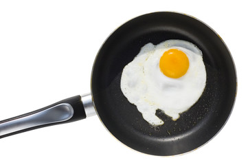 fryed egg