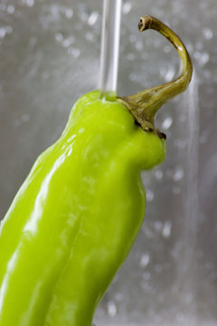 Green Chile Under A Faucet