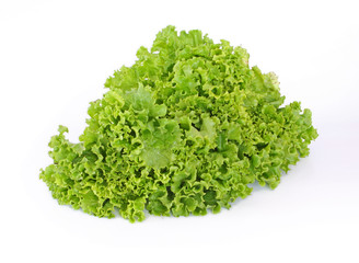 Fototapeta premium salad