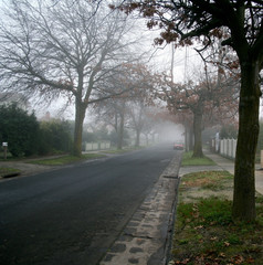 foggy street