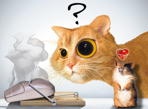 tapette &agrave; souris