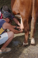 Obraz premium traite manuelle