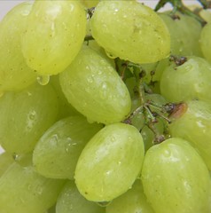 grapes