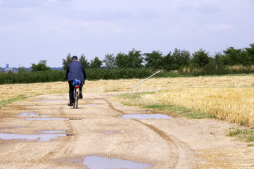 Obraz premium radfahrer auf einem feldweg