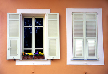 white shutters