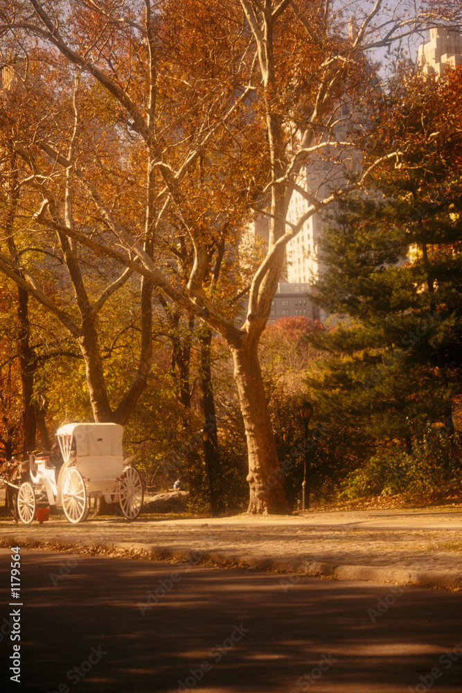 Canvas Prints central park new york city