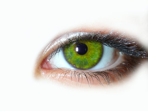 yeux verts