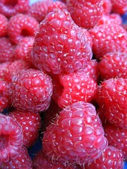 raspberries