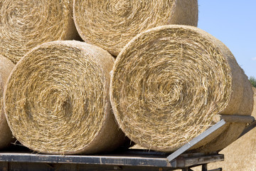 strohballen bereit zum abtransport