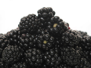 blackberry hill