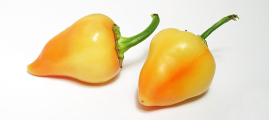 peppers isolated on white